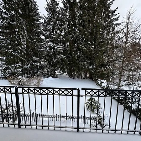 Harzidyll Hotel 3*