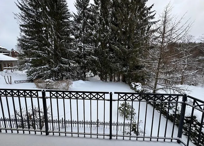 Primum Hotel Braunlage Hotel 3*