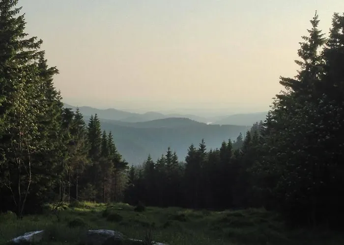 Primum Hotel Braunlage